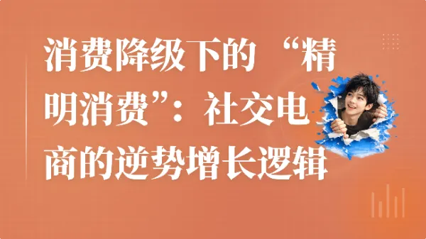 消费降级下的 “精明消费”：社交电商的逆势增长逻辑
