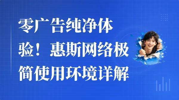 零广告纯净体验！惠斯网络极简使用环境详解
